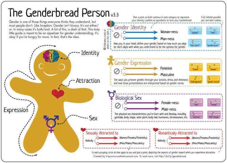 Genderbread Person Transgender Confusion - Moms for America