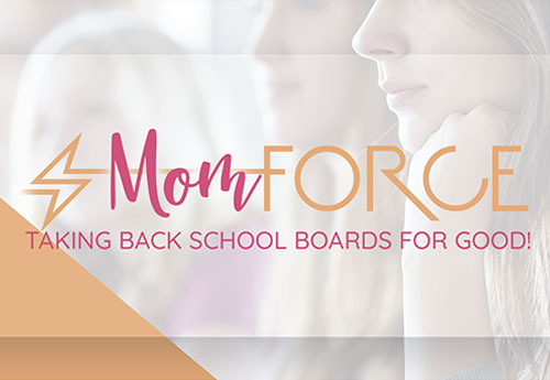 MomForce - Taking Back School Boards for Good