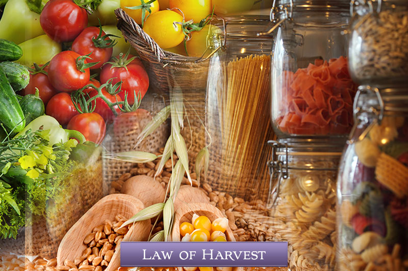 Law of Harvest - Cottage Meetings Moms for America