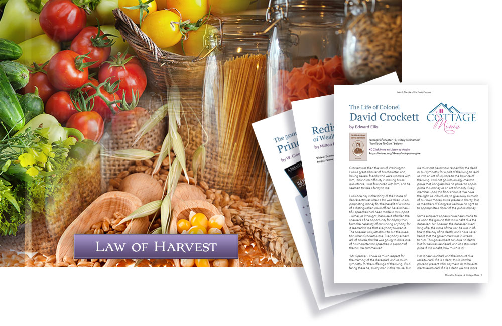 Cottage Minis - MFA - Law of the Harvest