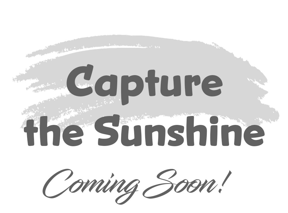 Capture the Sunshine - Cottage Meetings for Kids - Moms for America