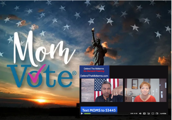Defend the Midterms, Why the Mom Vote is Vital!