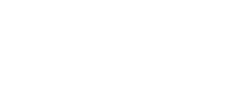 Moms for America Logo - White