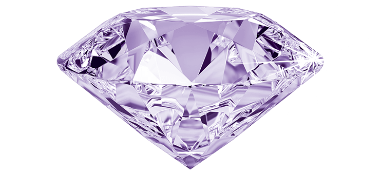 20th Anniversary Purple Diamond Sponsor